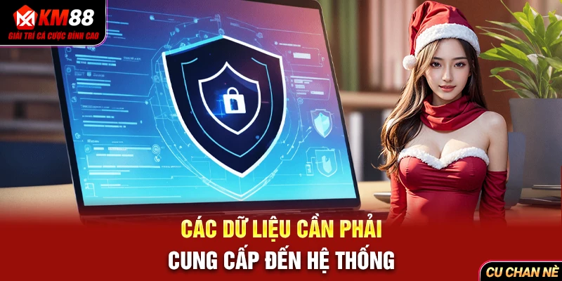 Các dữ liệu cần phải cung cấp đến hệ thống