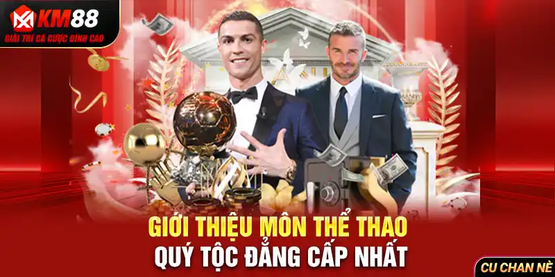 Giới thiệu môn thể thao quý tộc đẳng cấp nhất