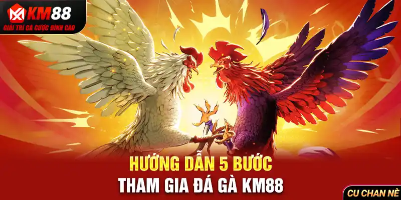 Hướng dẫn 5 bước tham gia đá gà KM88