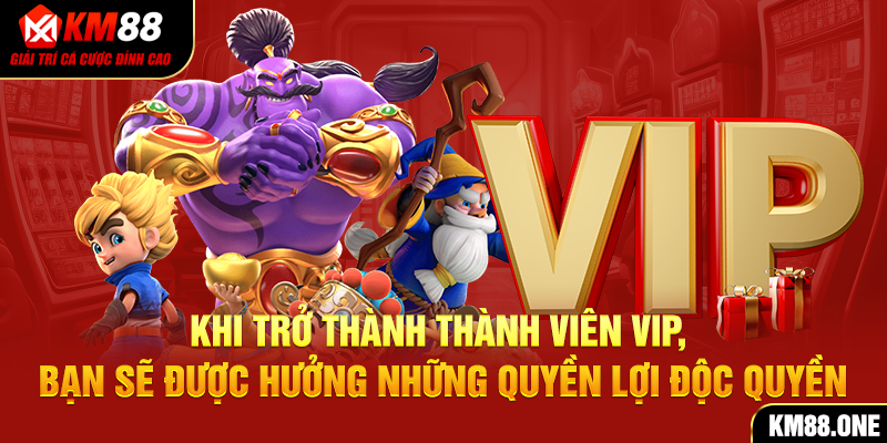 Khi trở thành thành viên vip, bạn sẽ được hưởng những quyền lợi độc quyền 