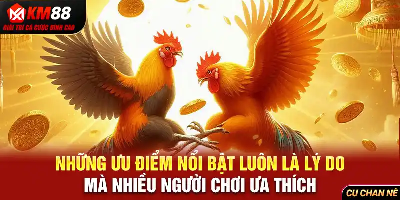 Những ưu điểm nổi bật luôn là lý do mà nhiều người chơi ưa thích